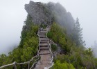 科技创新，胚胎DNA检测技术的前沿探索